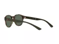 Polo Solbriller PH 4176 5003/71