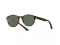 Polo Solbriller PH 4176 5003/71