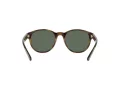 Polo Solbriller PH 4176 5003/71