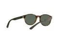Polo Solbriller PH 4176 5003/71