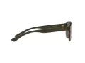 Polo Solbriller PH 4176 5003/71
