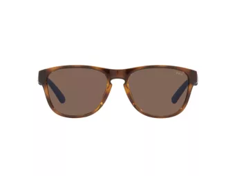 Polo Solbriller PH 4180U 5003/73