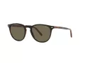 Polo Solbriller PH 4181 5260/3
