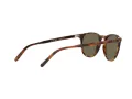 Polo Solbriller PH 4181 5260/3