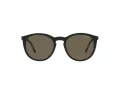 Polo Solbriller PH 4183U 5057/3