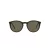 Polo Solbriller PH 4183U 5057/3