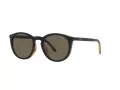 Polo Solbriller PH 4183U 5057/3