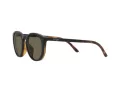Polo Solbriller PH 4183U 5057/3