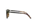 Polo Solbriller PH 4183U 5057/3