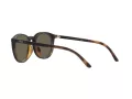 Polo Solbriller PH 4183U 5057/3