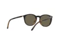 Polo Solbriller PH 4183U 5057/3