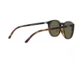 Polo Solbriller PH 4183U 5057/3