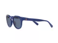 Polo Solbriller PH 4184 5235/80