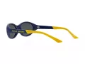 Polo Solbriller PH 4197U 588655