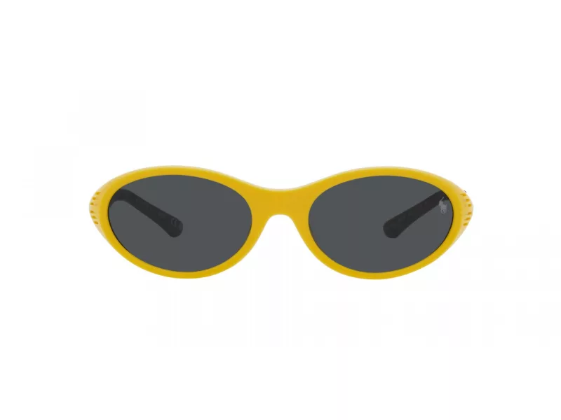 Polo Solbriller PH 4197U 596187