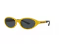 Polo Solbriller PH 4197U 596187