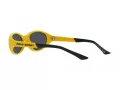 Polo Solbriller PH 4197U 596187