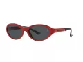 Polo Solbriller PH 4197U 609187