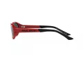 Polo Solbriller PH 4197U 609187
