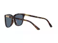 Polo Solbriller PH 4201U 500380