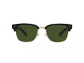 Polo Solbriller PH 4202 500171