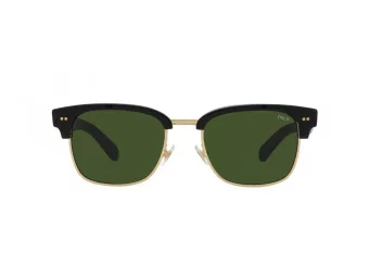 Polo Solbriller PH 4202 500171