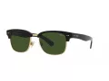 Polo Solbriller PH 4202 500171