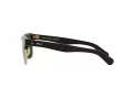 Polo Solbriller PH 4202 500171
