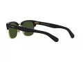 Polo Solbriller PH 4202 500171