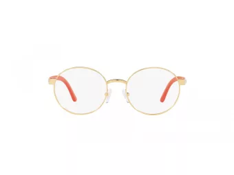 Polo Briller PP 8041 9411