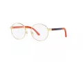 Polo Briller PP 8041 9411