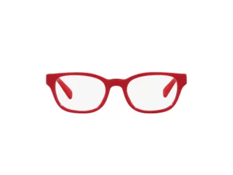Polo Briller PP 8543U 5257