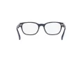 Polo Briller PP 8543U 5620