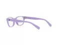 Polo Briller PP 8543U 6018