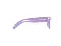 Polo Briller PP 8543U 6018