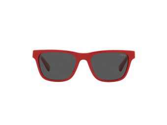 Polo Solbriller PP 9504U 5257/87