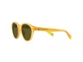 Polo Solbriller PP 9505U 500573