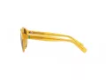Polo Solbriller PP 9505U 500573