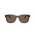 Ralph Solbriller RA 5313U 500373