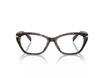 Ralph Briller RA 7161U 5003