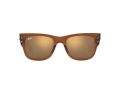 Ray-Ban Mega Wayfarer Solbriller RB 0840S 6636/93