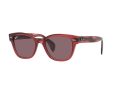 Ray-Ban Solbriller RB 0880S 6639/AF