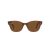 Ray-Ban Solbriller RB 0880S 6640/57