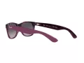 Ray-Ban New Wayfarer Solbriller RB 2132 6606/M3