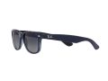 Ray-Ban New Wayfarer Solbriller RB 2132 6607/78