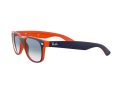 Ray-Ban New Wayfarer Solbriller RB 2132 789/3F