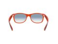 Ray-Ban New Wayfarer Solbriller RB 2132 789/3F