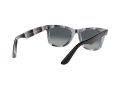 Ray-Ban Wayfarer Solbriller RB 2140 1318/3A