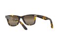 Ray-Ban Wayfarer Solbriller RB 2140 1332/G5