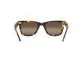 Ray-Ban Wayfarer Solbriller RB 2140 1332/G5